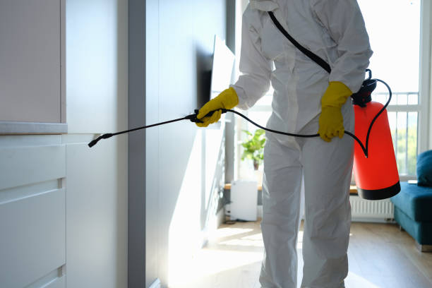 Home Mold Removal in Anchorage, KY